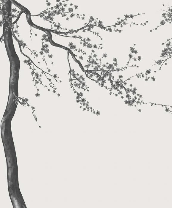 Papier peint panoramique fleur Sakura noir et blanc, XXL, tendance