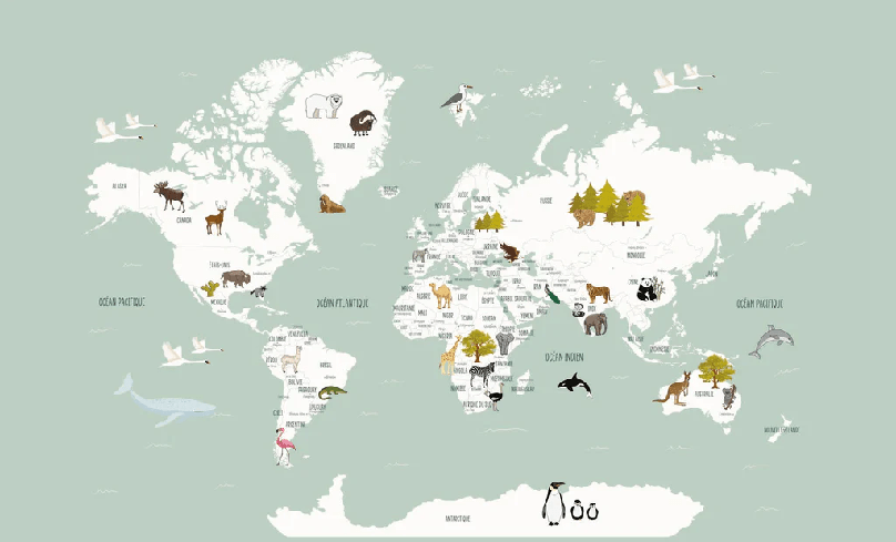 Wallpaper World Map in French for Children, Green