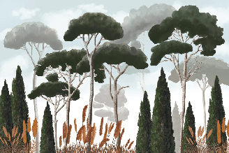 Papier peint sur mesure cyprès pins et herbes de la pampa, XXL, tendance