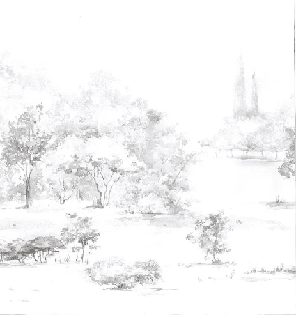 Papier peint forêt de pin aquarelle - Muralconcept