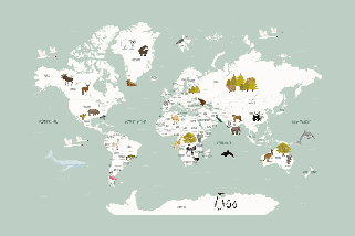 Wallpaper World Map in French for Children, Green