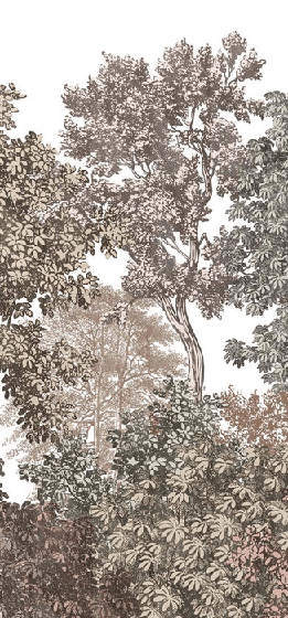 Papier peint paysage forêt gravure rosé
