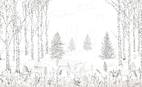 Papier peint forêt noir et blanc – Douceur des Bois - Muralconcept