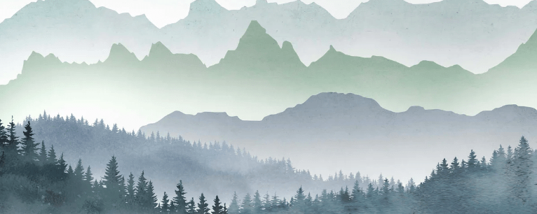 Papier peint brume matinale forêt - Muralconcept