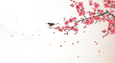Papier peint harmonie zen sakura - Muralconcept