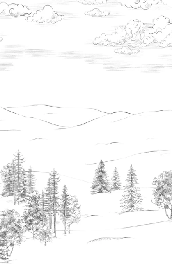 Papier peint montagne esquisse de Cimes - Muralconcept
