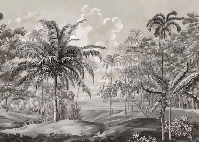 Black and white Sulawesi landscape wallpaper, XXL, tendance