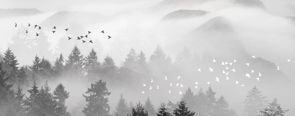 Papier peint brume mystique mountain, XXL, tendance