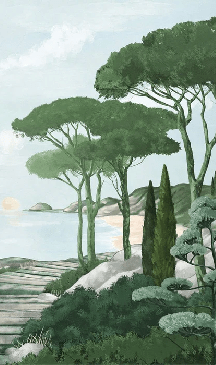 Papier peint balade dans les calanques vert - Muralconcept