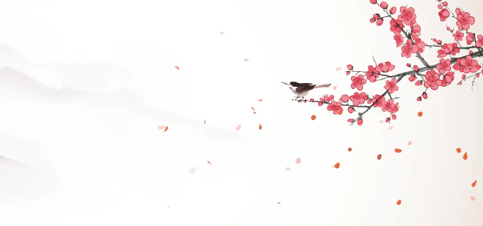 Papier peint harmonie zen sakura - Muralconcept