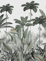 Papier peint panoramique jungle tree - Muralconcept