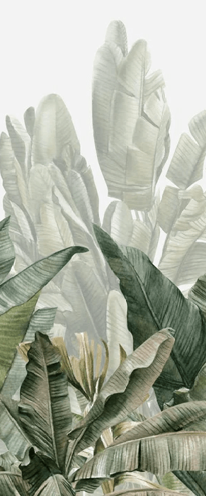 Papier peint panoramique bananier vert, XXL, tendance