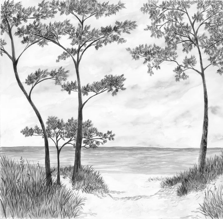 Papier peint Pins maritimes et dunes - Noir et blanc - Muralconcept