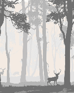 Papier peint Forêt nature zen monochrome - Muralconcept