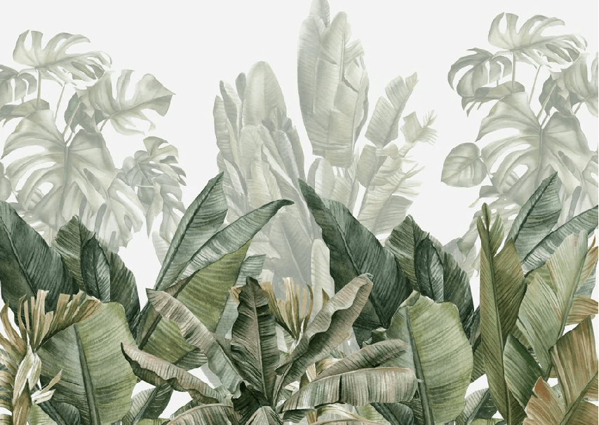 Papier peint panoramique bananier vert - Muralconcept