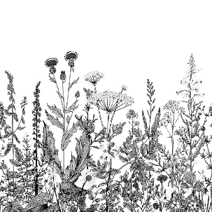 Papier peint botanique folk noir et blanc - Muralconcept