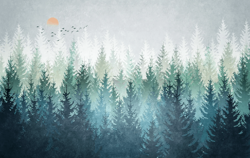 Papier peint forêt canadienne abstrait - Muralconcept