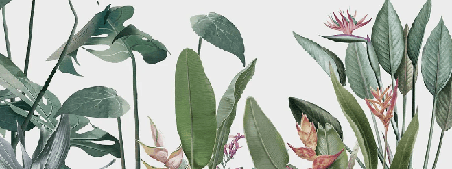 Papier peint panoramique Végétal tropical, XXL, tendance