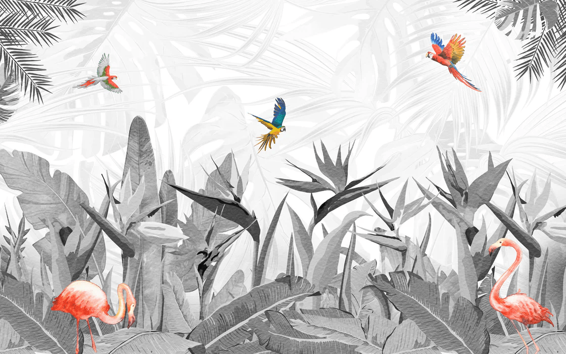Papier peint noir et blanc oiseau du paradis - Muralconcept