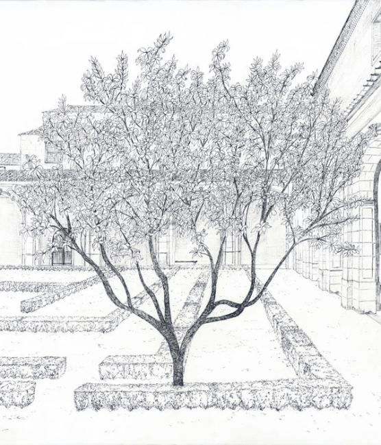Papier peint panoramique sous les arcades – Jardin en gravure - Muralconcept