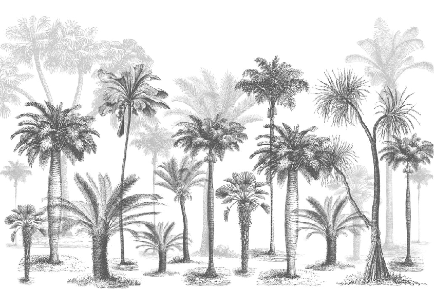 Papier peint Jungle Black & White - Muralconcept