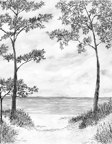 Papier peint Pins maritimes et dunes - Noir et blanc - Muralconcept