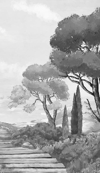 Papier peint balade dans les calanques noir et blanc - Muralconcept