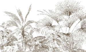 Papier peint tropical gravure monochrome, XXL, tendance