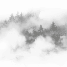 Papier peint brume des Cimes gris - Muralconcept