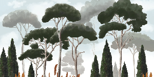 Custom wallpaper cypress pine and pampas grass