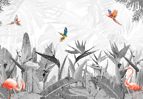 Papier peint noir et blanc oiseau du paradis - Muralconcept