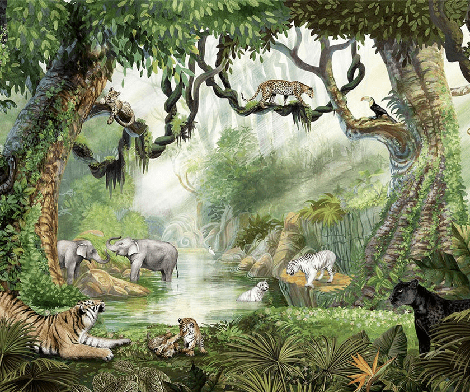 Papier peint enfant jungle secrète - Muralconcept