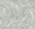 Papier peint feuille monstera sauge - Muralconcept