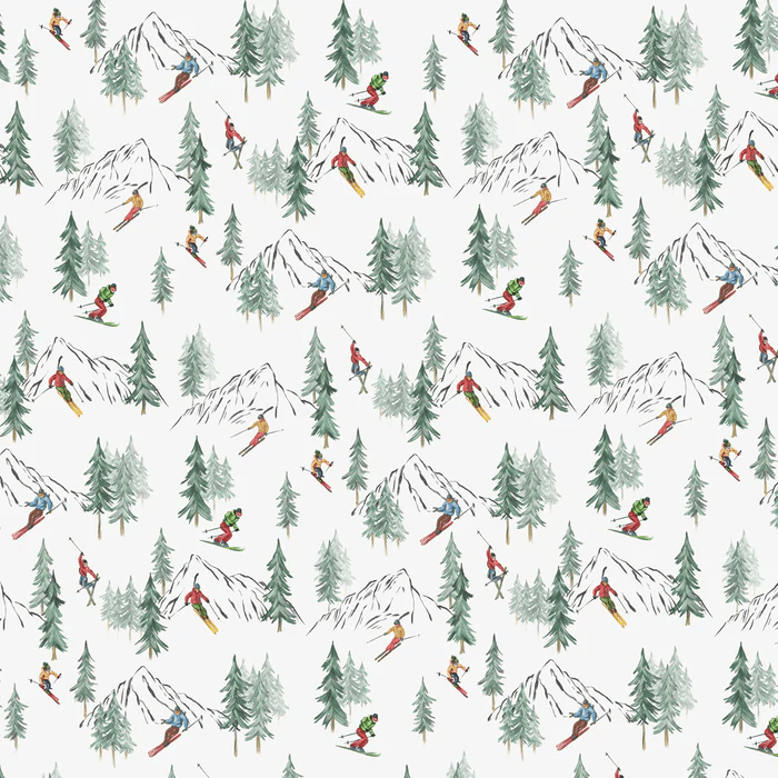 Papier peint Alpine glisse - Muralconcept