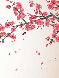 Papier peint harmonie zen sakura - Muralconcept