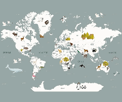 Papier peint Carte du monde en Francais enfant gris - Muralconcept