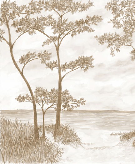 Papier peint Pins maritimes et dunes - Sépia - Muralconcept