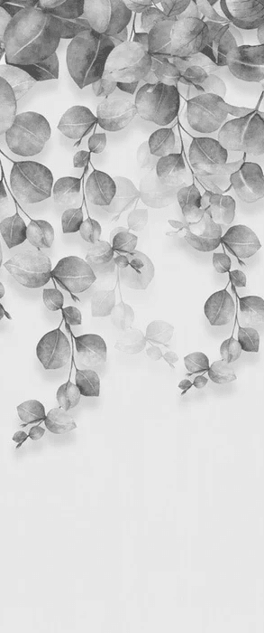 Papier peint nature plante Eucalyptus - Muralconcept