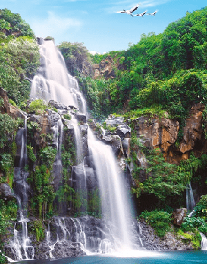 Reunion Island waterfall wallpaper