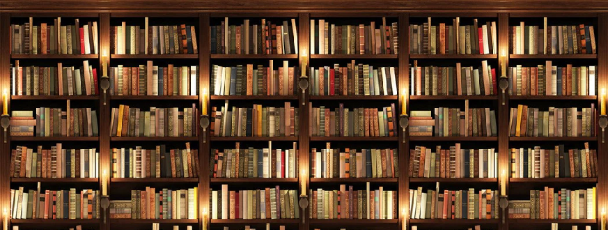 Papier peint trompe l'oeil Authentique Bibliothèque - Muralconcept