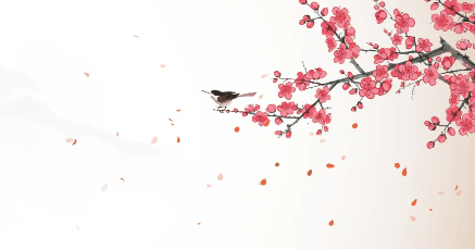 Papier peint harmonie zen sakura, XXL, tendance