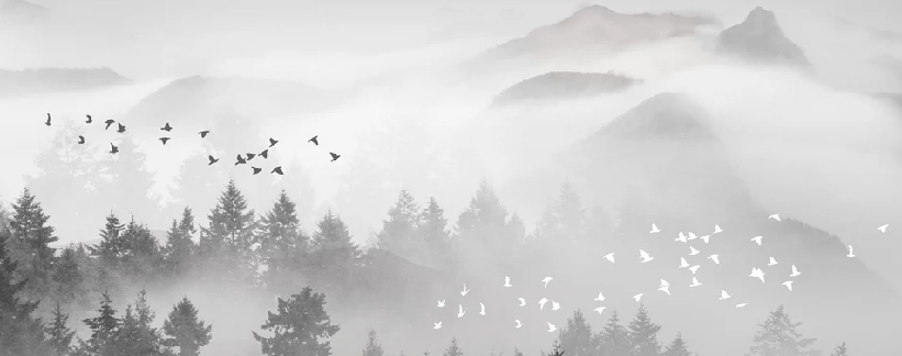 Papier peint brume mystique mountain, XXL, tendance