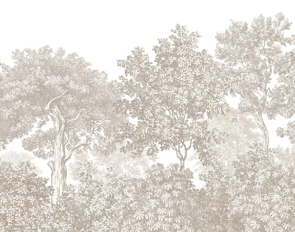 Papier peint paysage forêt gravure beige