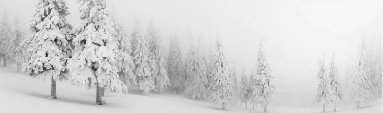 Papier peint panoramique forêt enneigée - Muralconcept