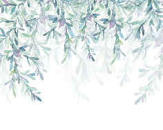 Papier peint Végétal & Scandinave style - Muralconcept