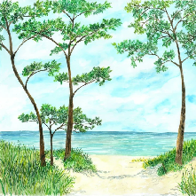Papier peint Pins maritimes et dunes - Vert - Muralconcept