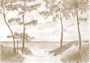 Papier peint Pins maritimes et dunes - Sépia - Muralconcept