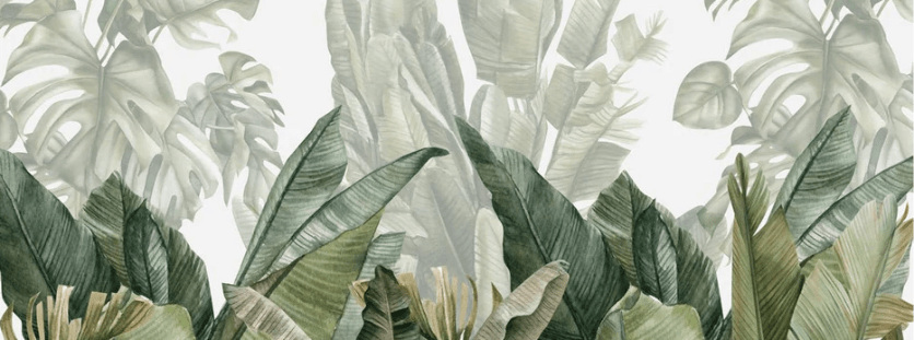 Papier peint panoramique bananier vert