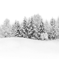 Papier peint panoramique évasion hivernale - Muralconcept