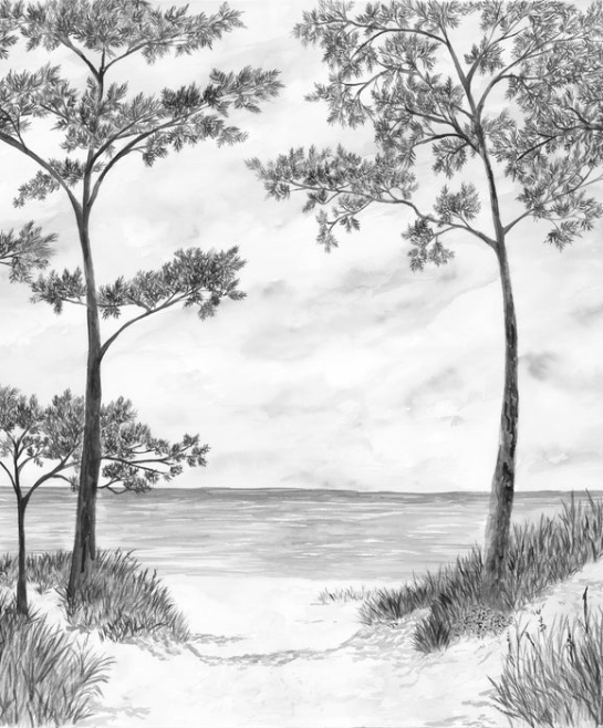 Papier peint Pins maritimes et dunes - Noir et blanc - Muralconcept